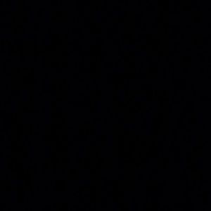 Meet your Posher, Mya